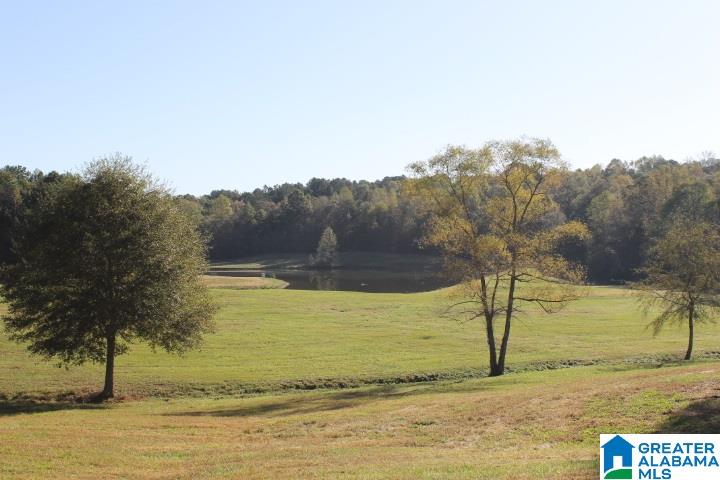 3258 Youngs Mill Road Lineville, AL 36266 - Photo 37 of 50