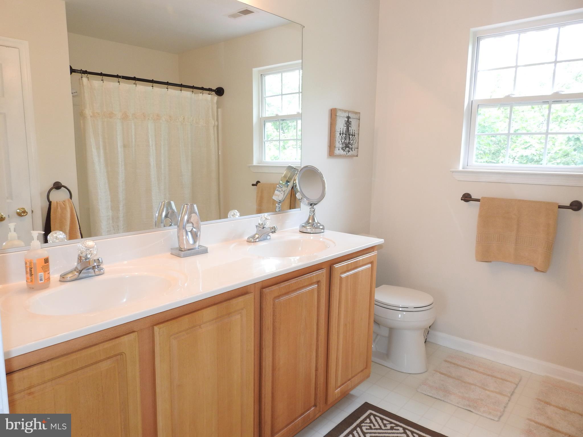 643 Matterhorn Road Westminster, MD 21158 - Photo 17 of 27 Bath (Master)