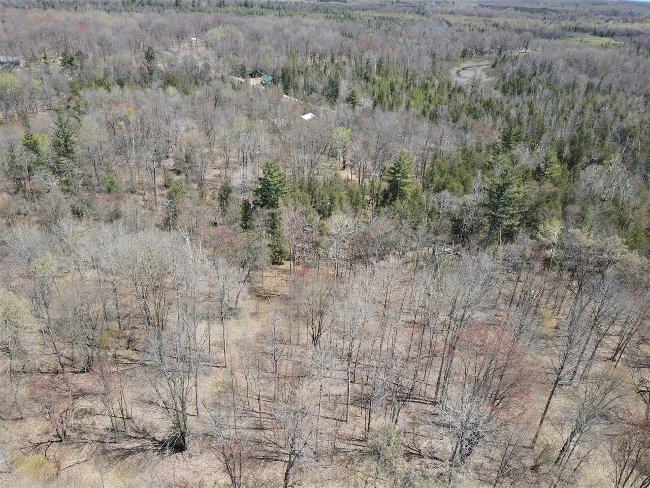11401 Little George Lake Road Gladwin, MI 48624 - Photo 14 of 72