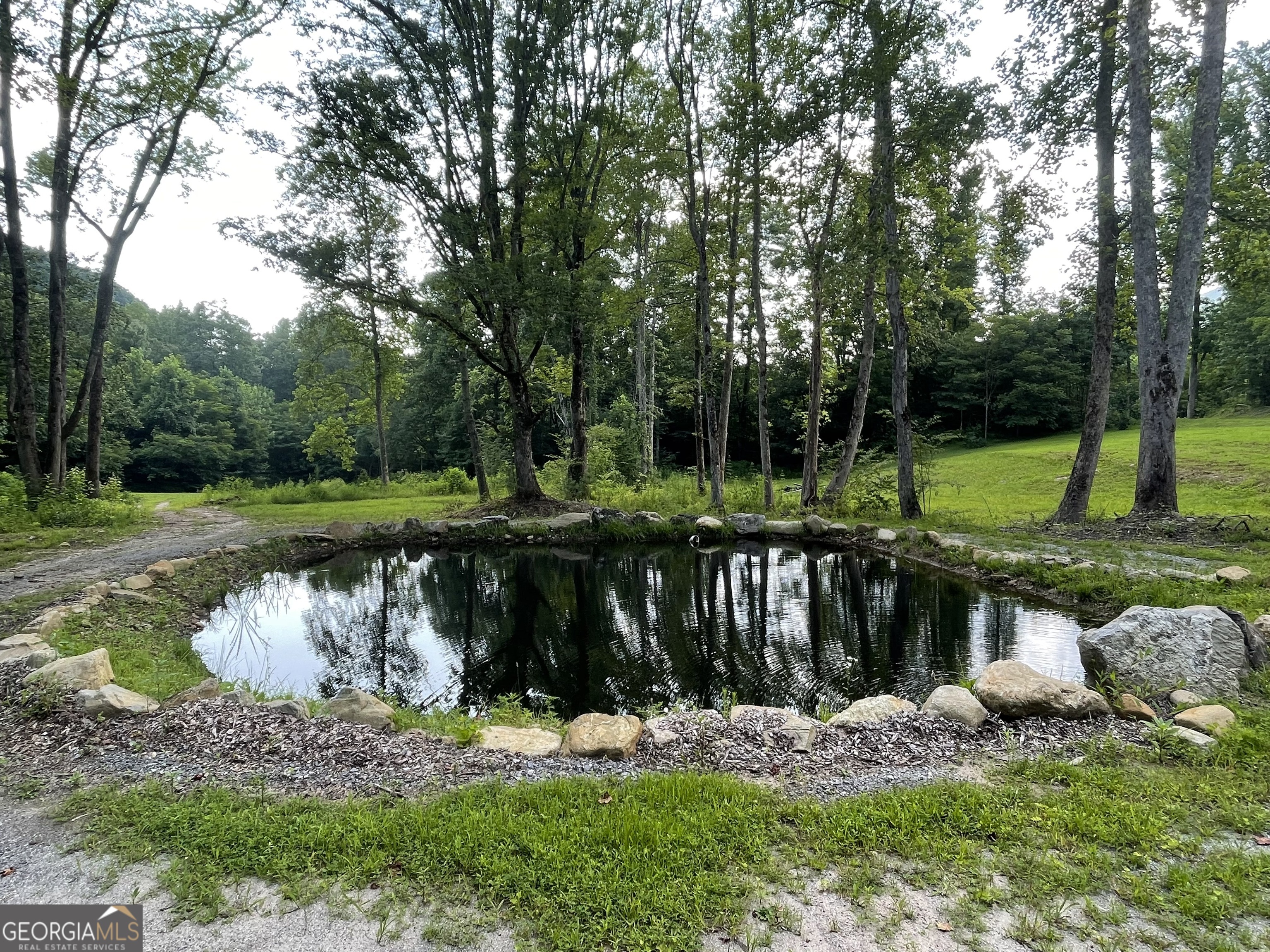 1449 Muskrat Creek Road Hayesville, NC 28904 - Photo 3 of 95