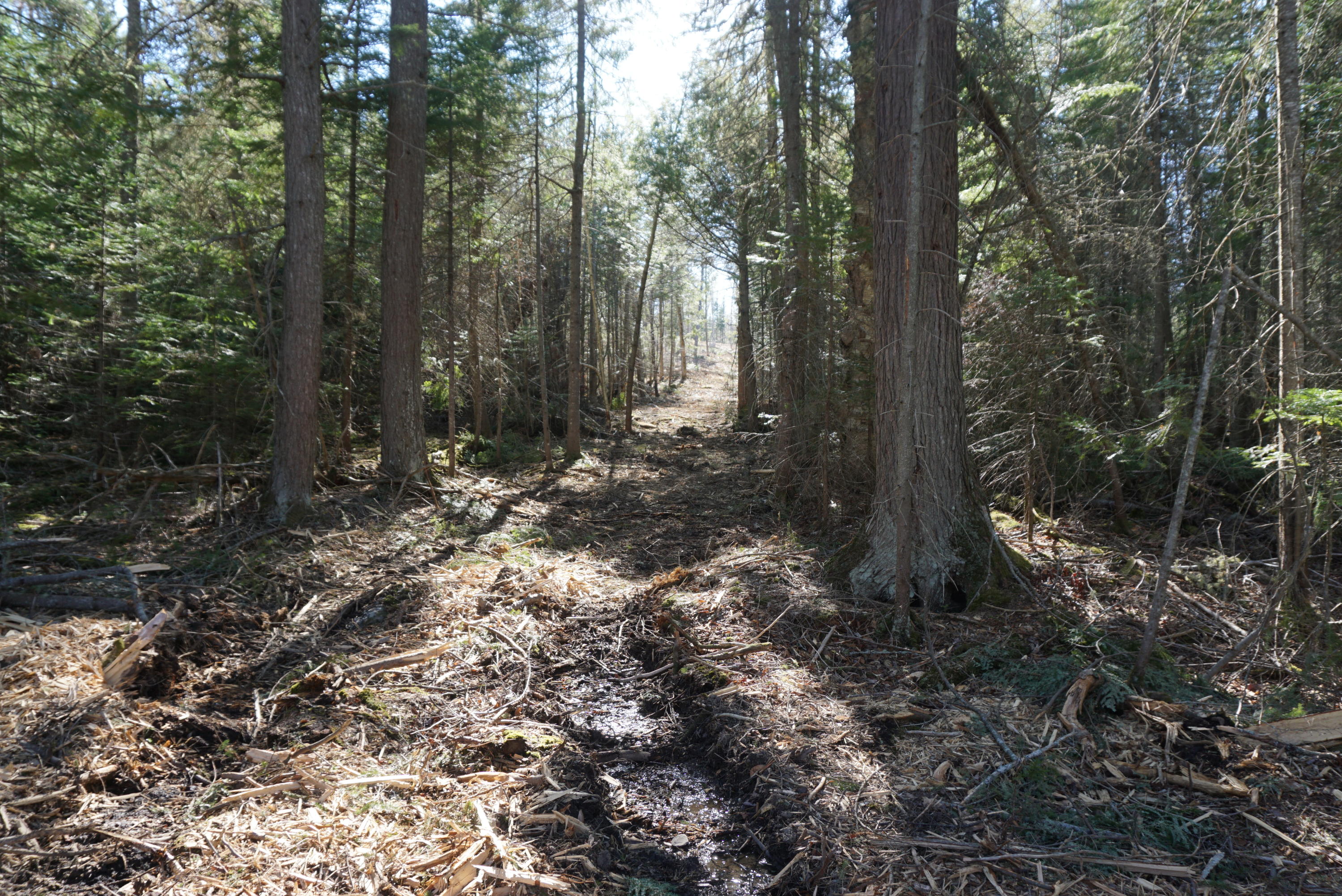 121 Rockwood Road Greenville Junction, ME 04442 - Photo 11 of 17 25260C4E-3F70-4D36-BF44-F7174E7C2B7C