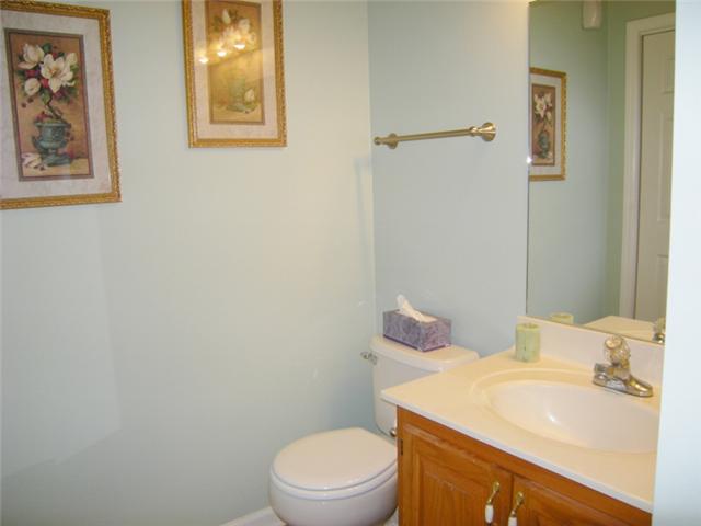 4968 Burnt Knob Road Murfreesboro, TN 37129 - Photo 10 of 19 Guest bath.
