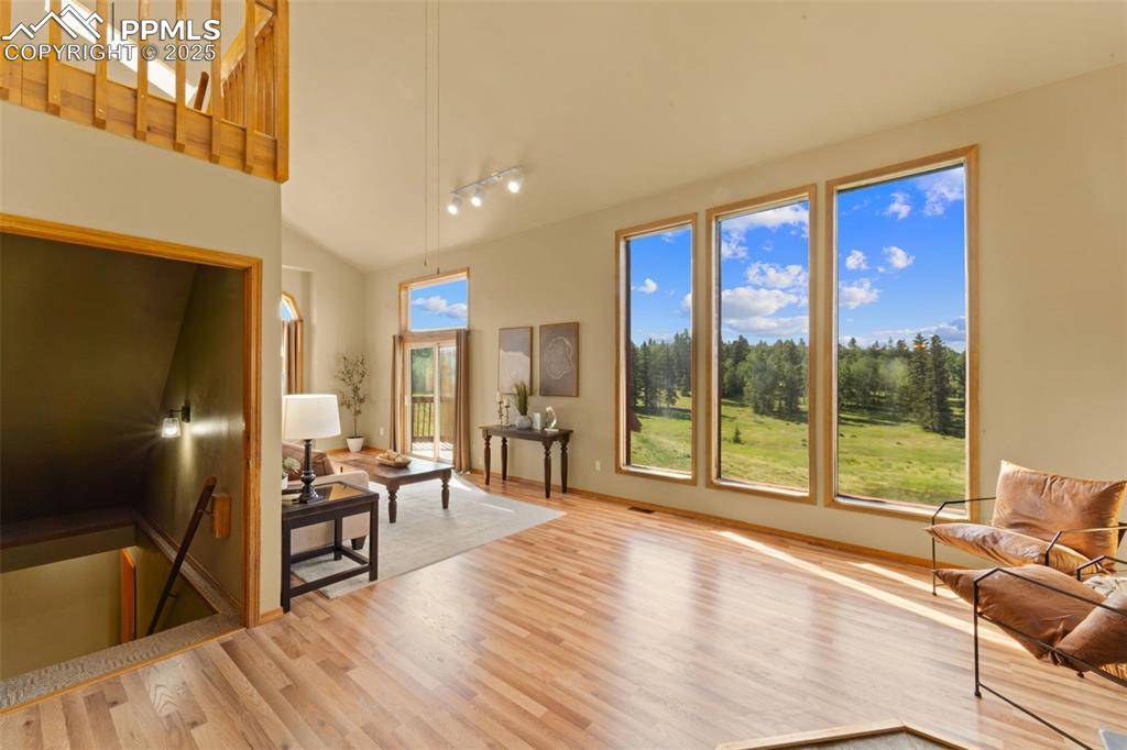 428 Ridge Drive Divide, CO 80814 - Photo 12 of 49 a living room with furniture and a floor to ceiling window