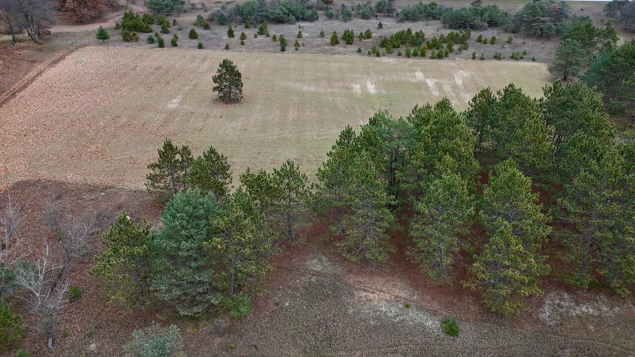 Hatton Road Farwell, MI 48622 - Photo 28 of 78 Gallery Image 28