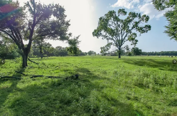 a view of a lush green space