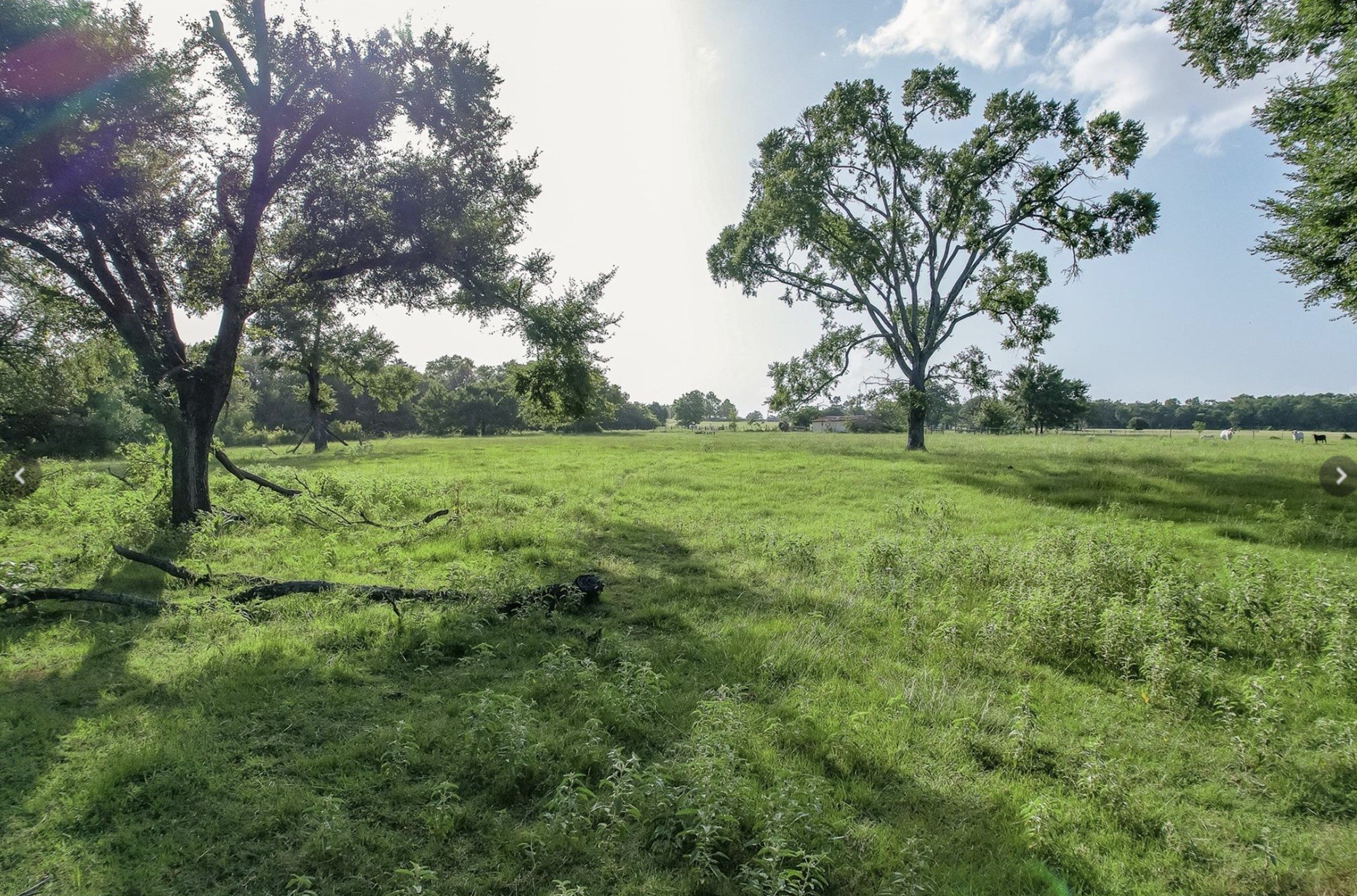 6388 Red Rock Road Franklin, TX 77856 - Photo 1 of 6 a view of a lush green space