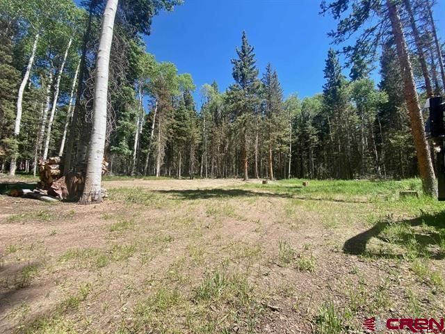 1772 Spruce Road Cimarron, CO 81220 - Photo 1 of 21 Gallery Image 1