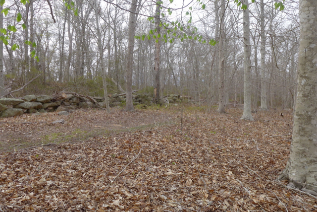 609 State Road West Tisbury, MA 02568 - Photo 4 of 7 Gallery Image 4