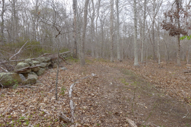 609 State Road West Tisbury, MA 02568 - Photo 5 of 7 Gallery Image 5