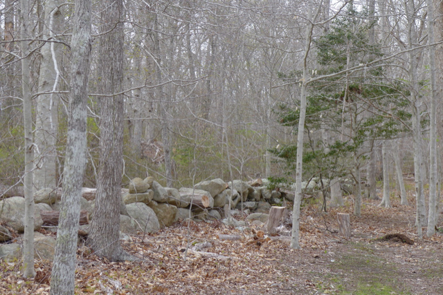 609 State Road West Tisbury, MA 02568 - Photo 6 of 7 Gallery Image 6