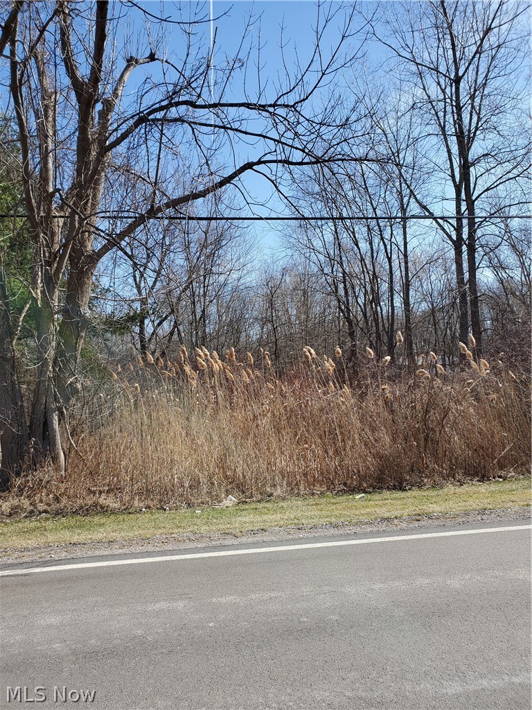 Countyline Road Madison, OH 44057 - Photo 1 of 5