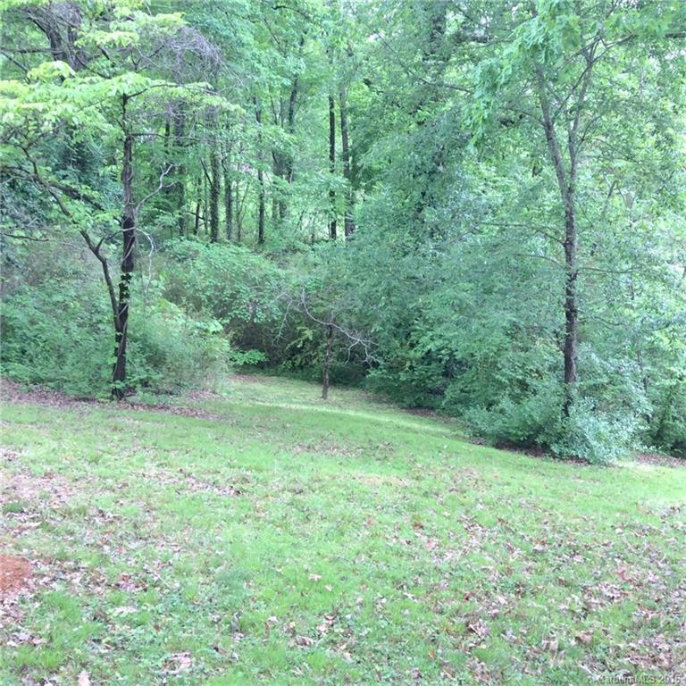 59 Beaver Street Tryon, NC 28782 - Photo 3 of 14 a view of a lush green forest