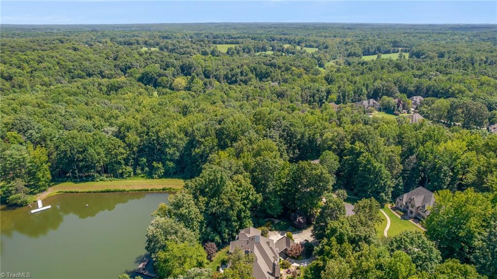 5807 Henson Farm Road Summerfield, NC 27358 - Photo 38 of 40 Gallery Image 38
