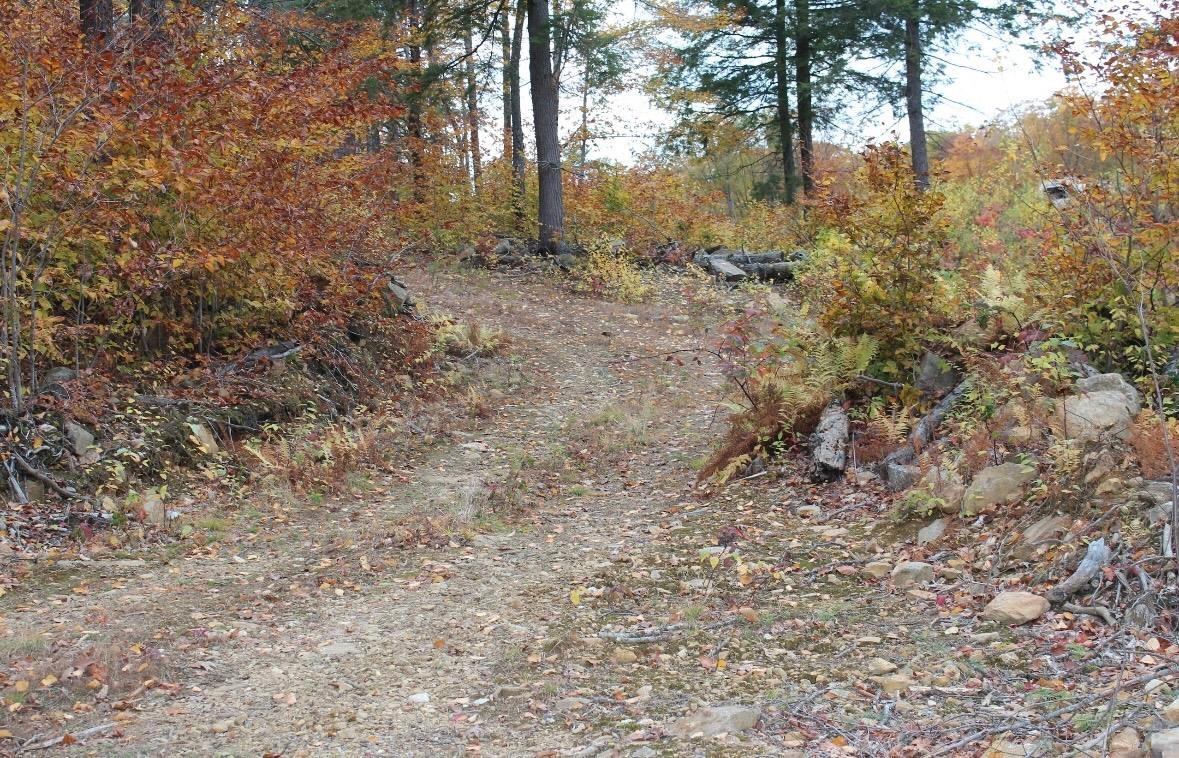 306 Baptist Hill Road, Unit 300 0200 Canterbury, NH 03224 - Photo 7 of 11