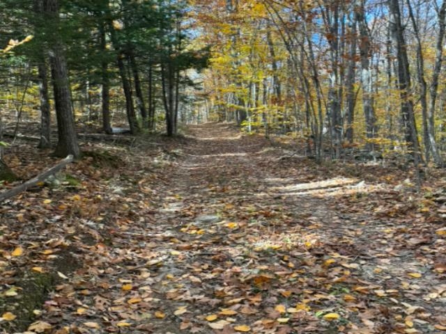 306 Baptist Hill Road, Unit 300 0200 Canterbury, NH 03224 - Photo 9 of 11
