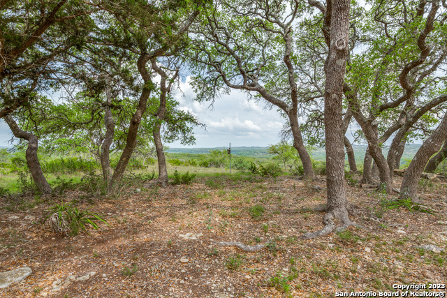 10205 2 Johns Road Boerne, TX 78006 - Photo 12 of 32 a view of a forest with trees in the background
