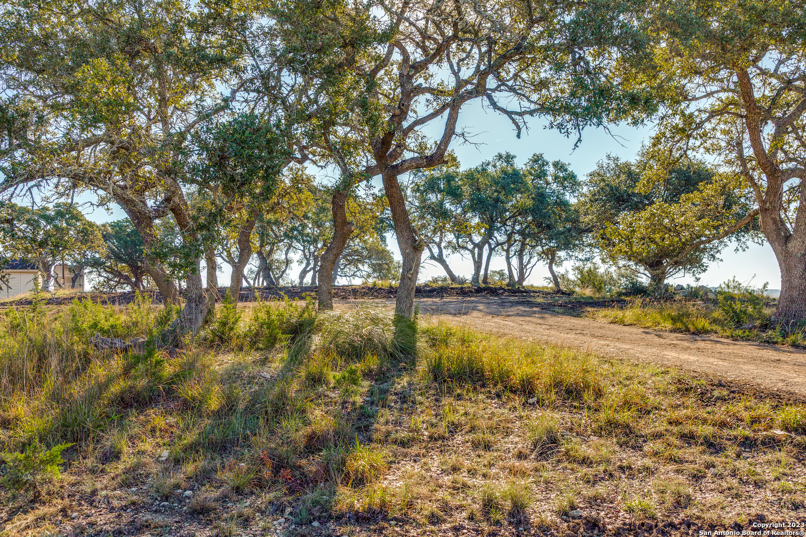 10205 2 Johns Road Boerne, TX 78006 - Photo 19 of 32 a view of yard with large trees