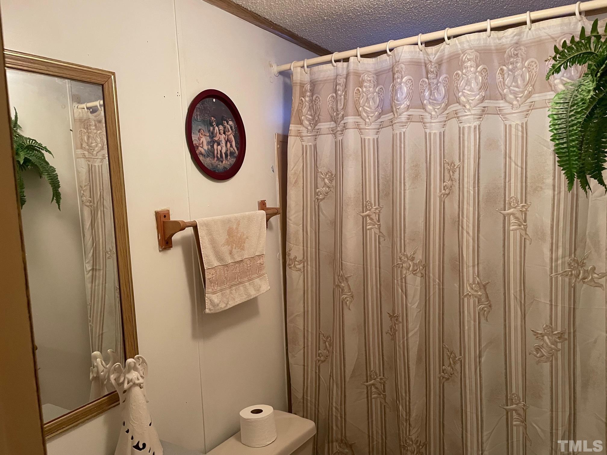 1616 Pope Road Creedmoor, NC 27522 - Photo 28 of 42 a bathroom with a toilet and a shower curtain
