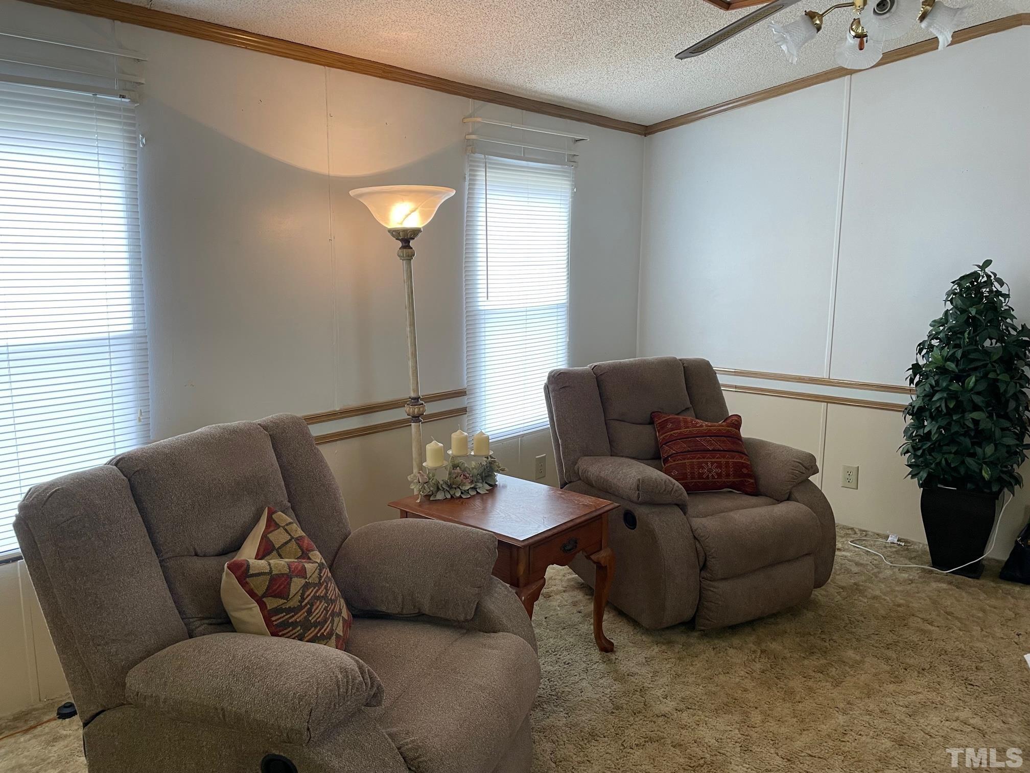 1616 Pope Road Creedmoor, NC 27522 - Photo 7 of 42 a living room with furniture and a potted plant