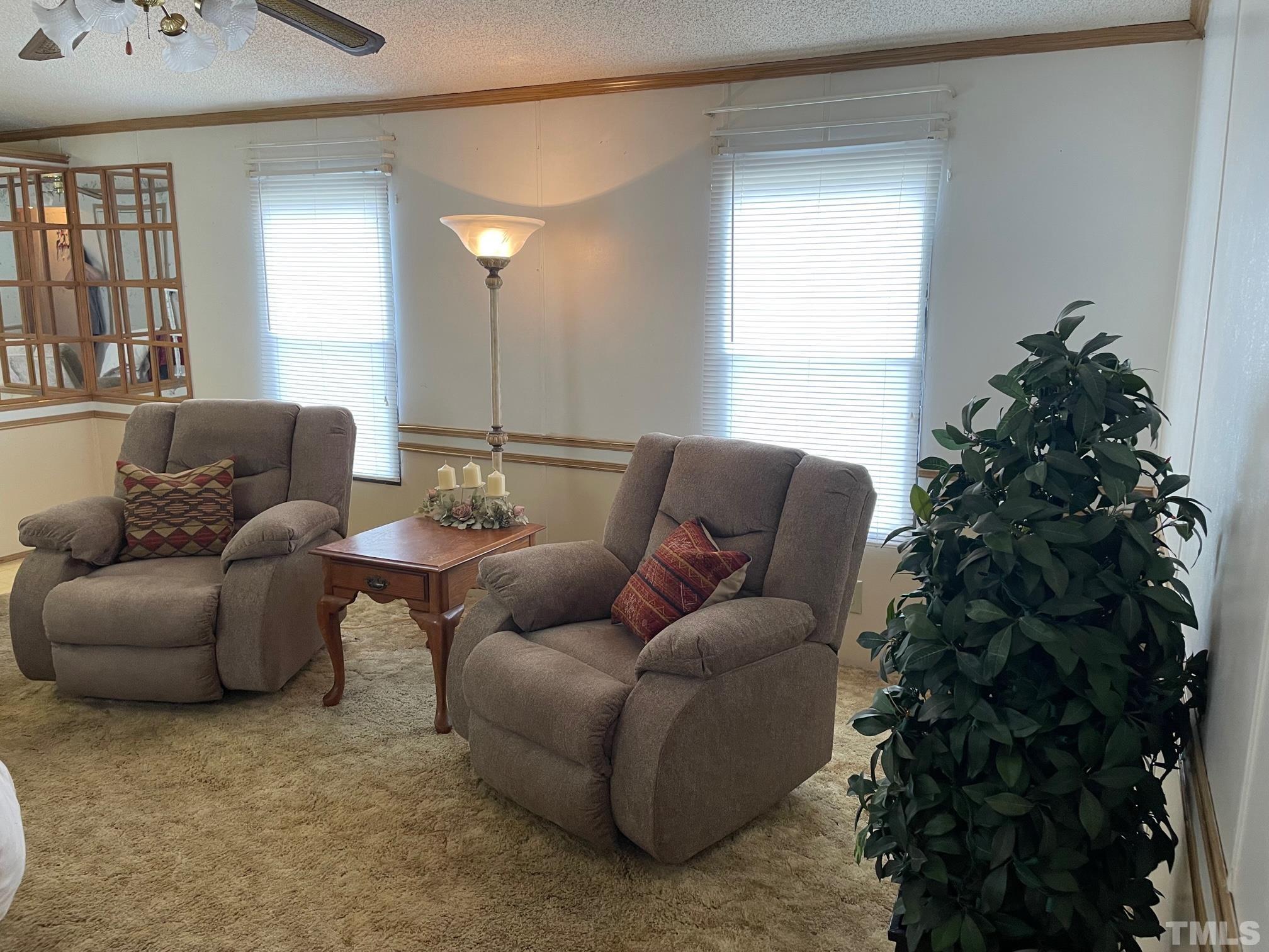 1616 Pope Road Creedmoor, NC 27522 - Photo 8 of 42 a living room with furniture and a potted plant