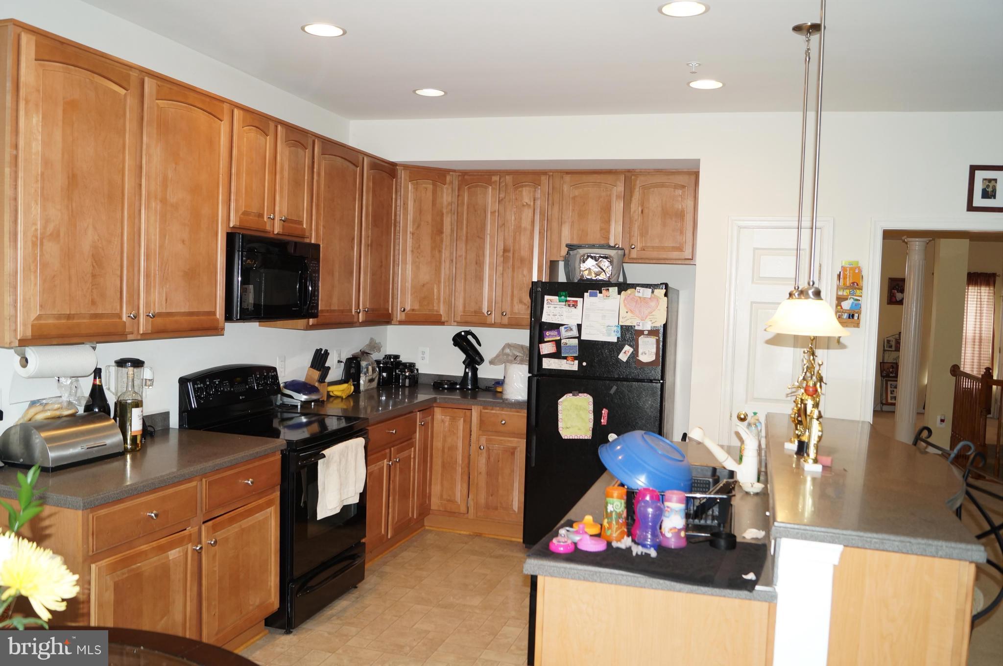 41802 Inspiration Terrace, Unit 8F Aldie, VA 20105 - Photo 11 of 30 Kitchen