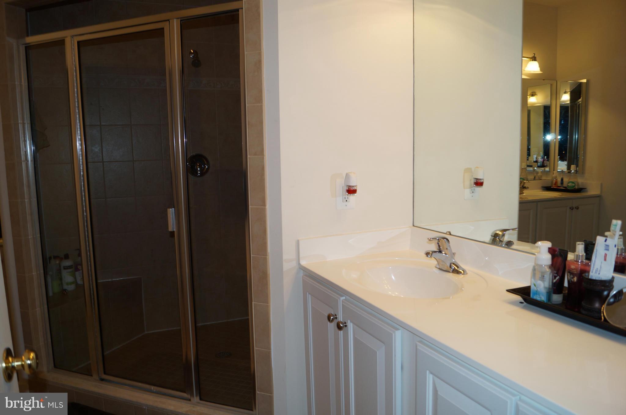 41802 Inspiration Terrace, Unit 8F Aldie, VA 20105 - Photo 20 of 30 Bath (Master)