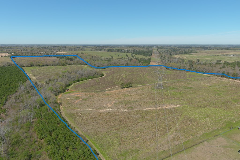 0 Macedonia Ch Road Columbia, AL 36319 - Photo 5 of 61