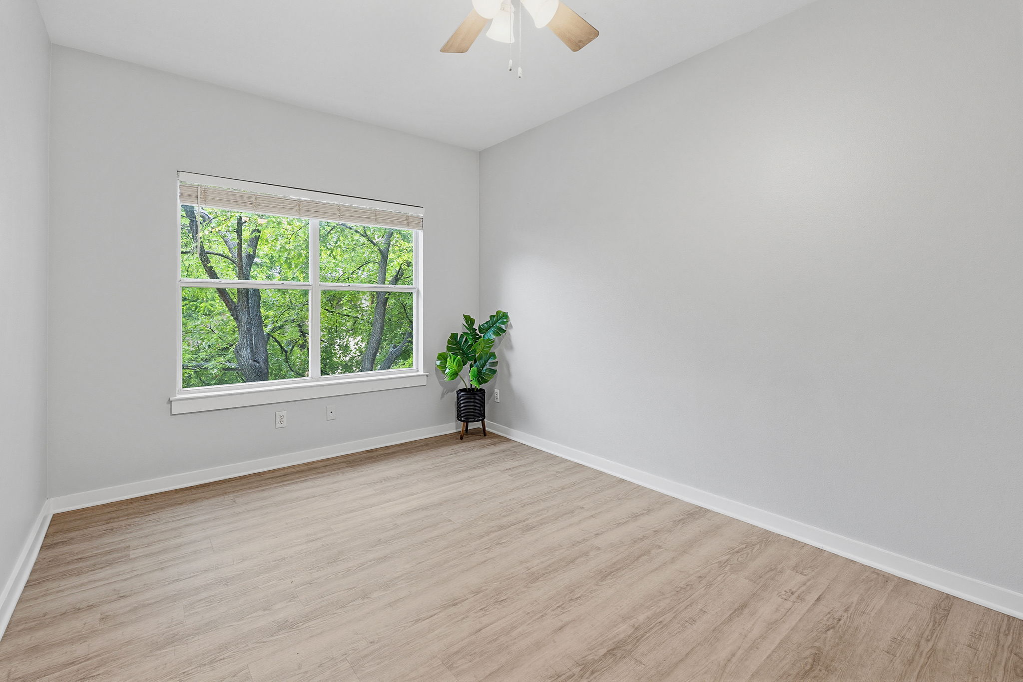2106 Cullen Avenue, Unit 206 Austin, TX 78757 - Photo 3 of 20 Unstaged primary bedroom with updated wood-looking vinyl floors and refreshed paint.