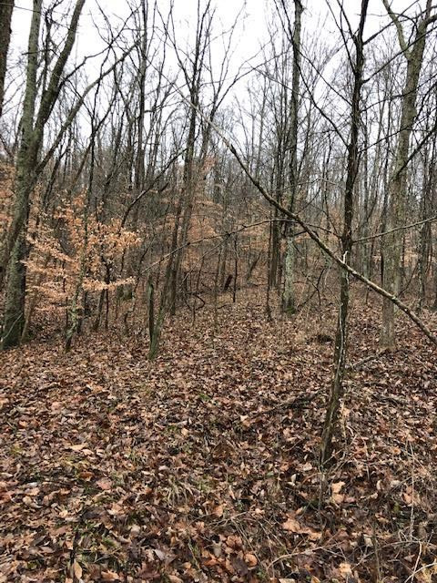 Moffett Road Morning View, KY 41063 - Photo 19 of 22