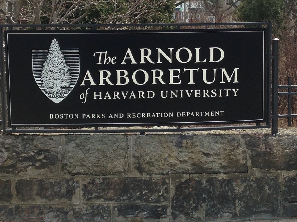 71-73 Brookley Road, Unit 2 Boston, MA 02130 - Photo 22 of 26