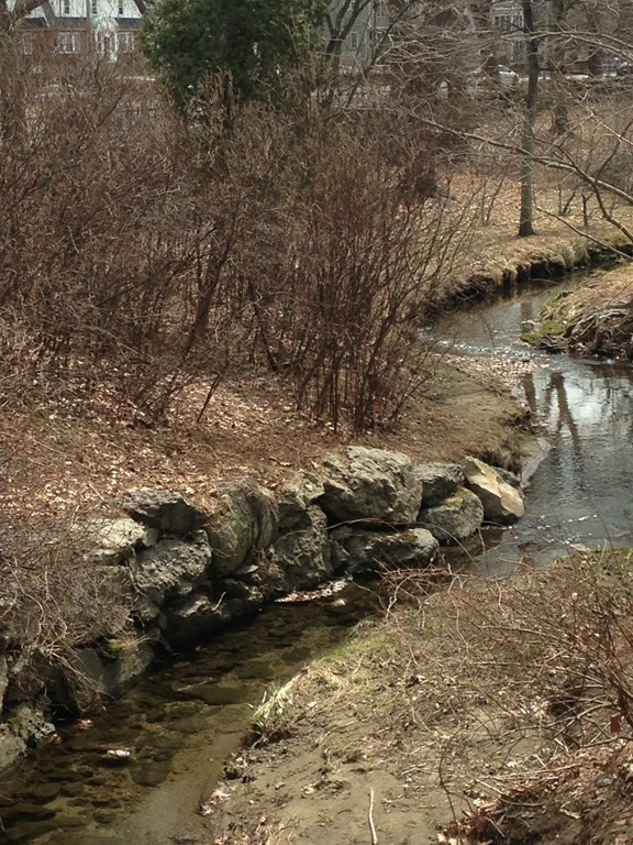 71-73 Brookley Road, Unit 2 Boston, MA 02130 - Photo 23 of 26