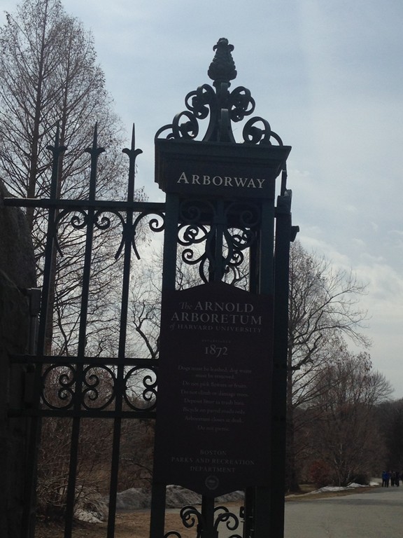 71-73 Brookley Road, Unit 2 Boston, MA 02130 - Photo 24 of 26