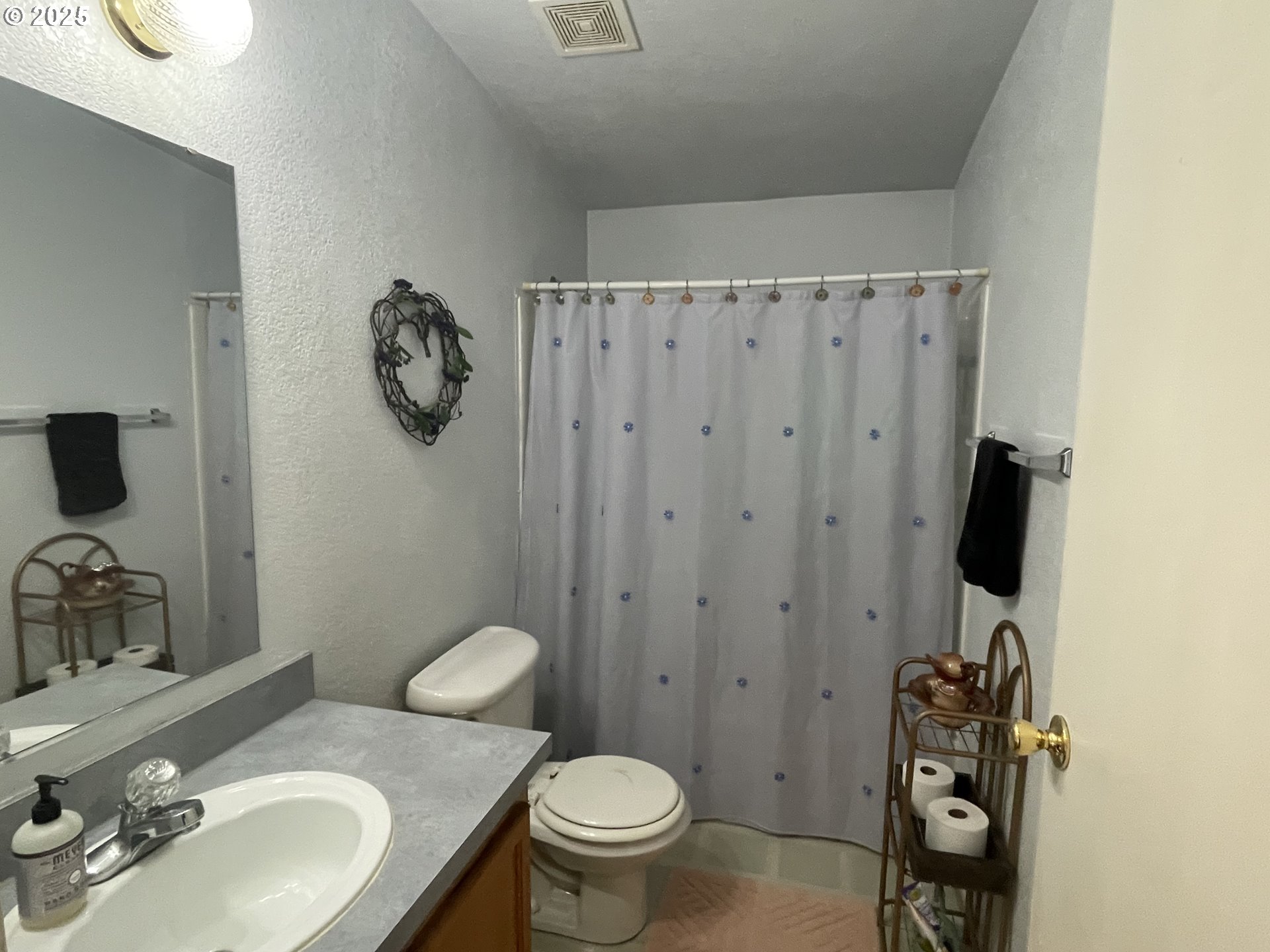 203 Court Street Enterprise, OR 97828 - Photo 13 of 23 a bathroom with a toilet a sink and mirror
