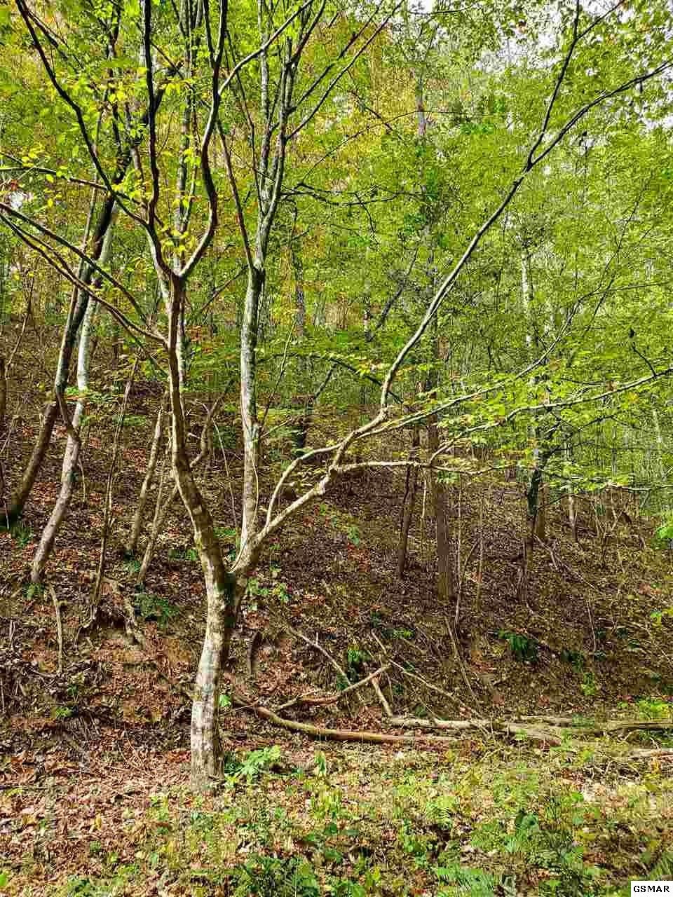 0 Shell Mountain Road Sevierville, TN 37876 - Photo 13 of 35