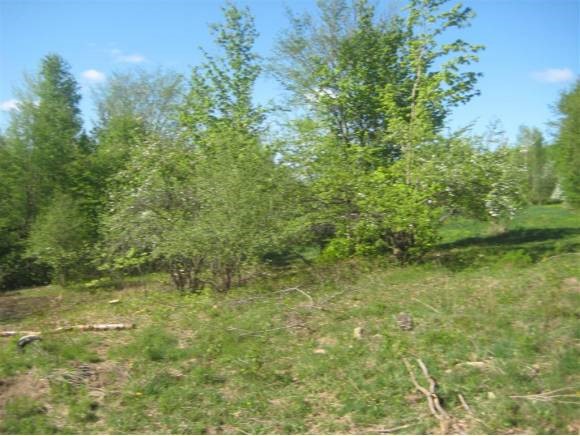 Lot 4 Farrar Road Newport Center, VT 05857 - Photo 3 of 24 Gallery Image 3