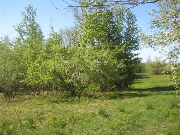 Lot 4 Farrar Road Newport Center, VT 05857 - Photo 8 of 24 Gallery Image 8