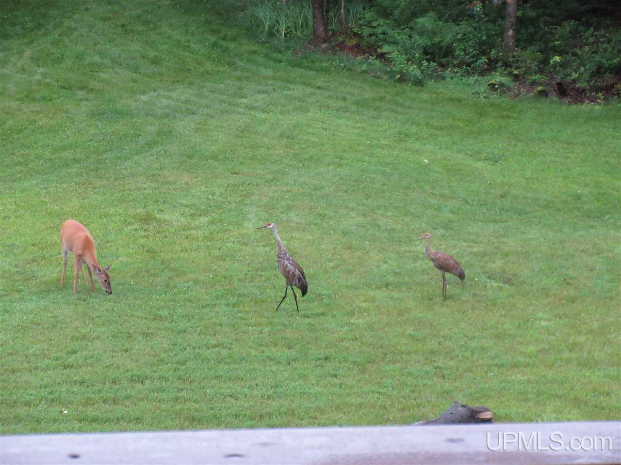 119 Ridge View Drive Iron River, MI 49935 - Photo 17 of 44