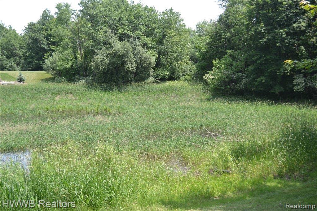 1730 Hosner Road Oxford, MI 48370 - Photo 22 of 24 22-Pond On Property (Copy).JPG
