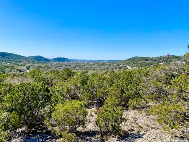 a view of a city with lush green forest