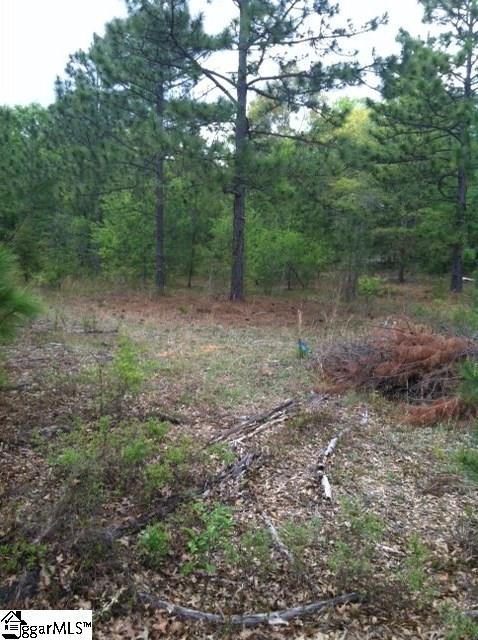 641 Clay Hill Road Pelion, SC 29123 - Photo 1 of 10