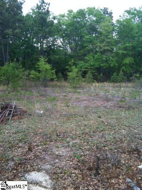 641 Clay Hill Road Pelion, SC 29123 - Photo 2 of 10