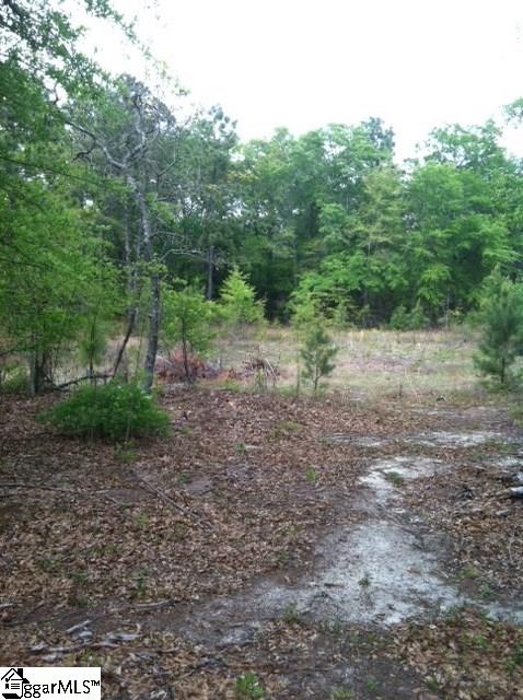 641 Clay Hill Road Pelion, SC 29123 - Photo 3 of 10