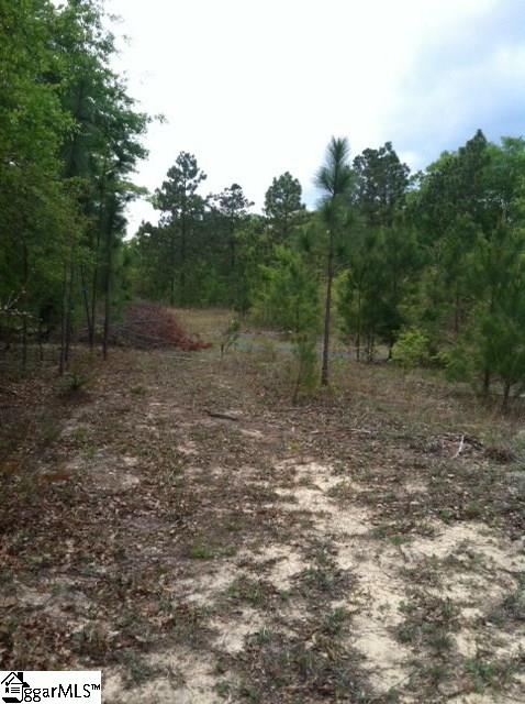 641 Clay Hill Road Pelion, SC 29123 - Photo 5 of 10