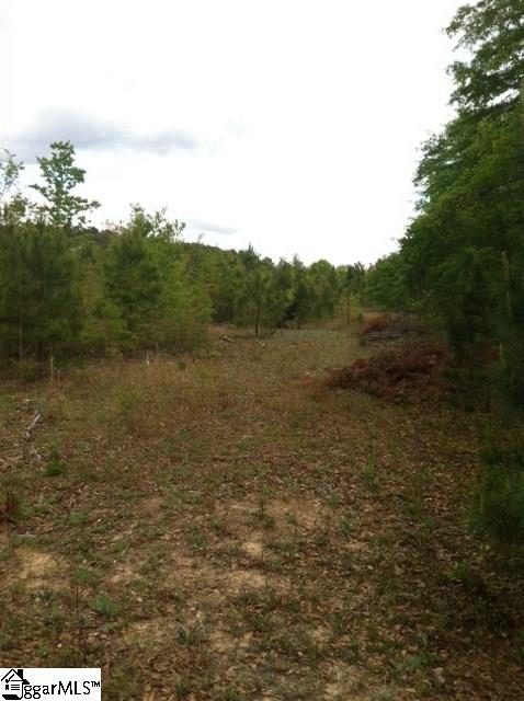 641 Clay Hill Road Pelion, SC 29123 - Photo 6 of 10