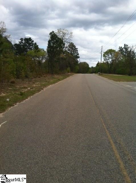 641 Clay Hill Road Pelion, SC 29123 - Photo 10 of 10