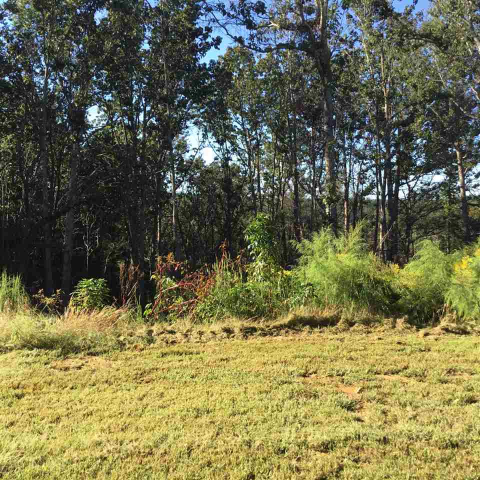 38 Ridge Lake Drive Cherokee, AL 35616 - Photo 10 of 16