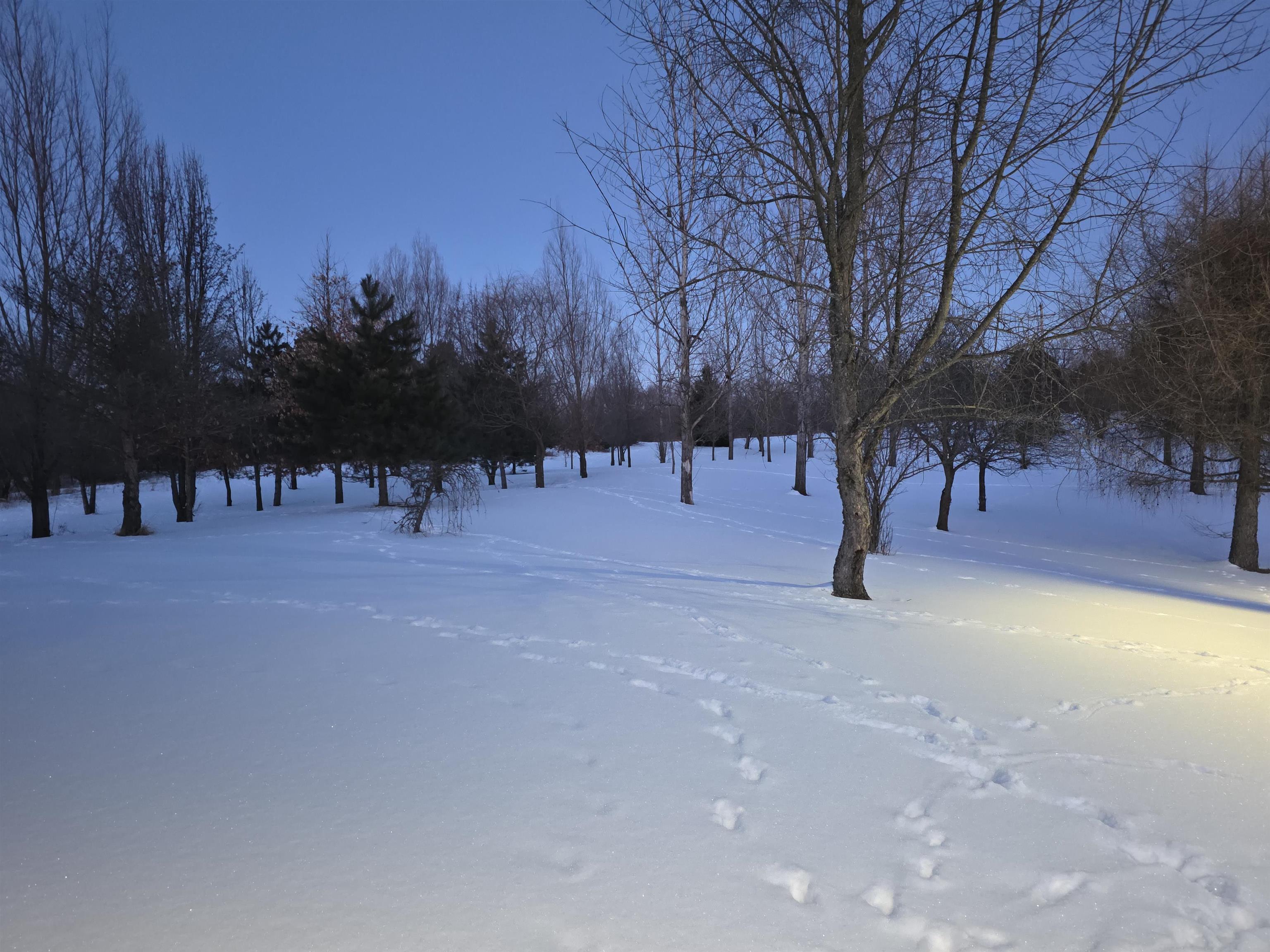 6189 Willits Road Otter Lake, MI 48464 - Photo 11 of 41 Gallery Image 11