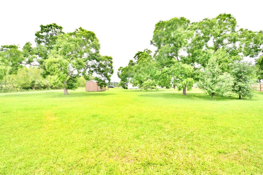 64 Baskins Road Lakeland, GA 31635 - Photo 7 of 52 Gallery Image 7