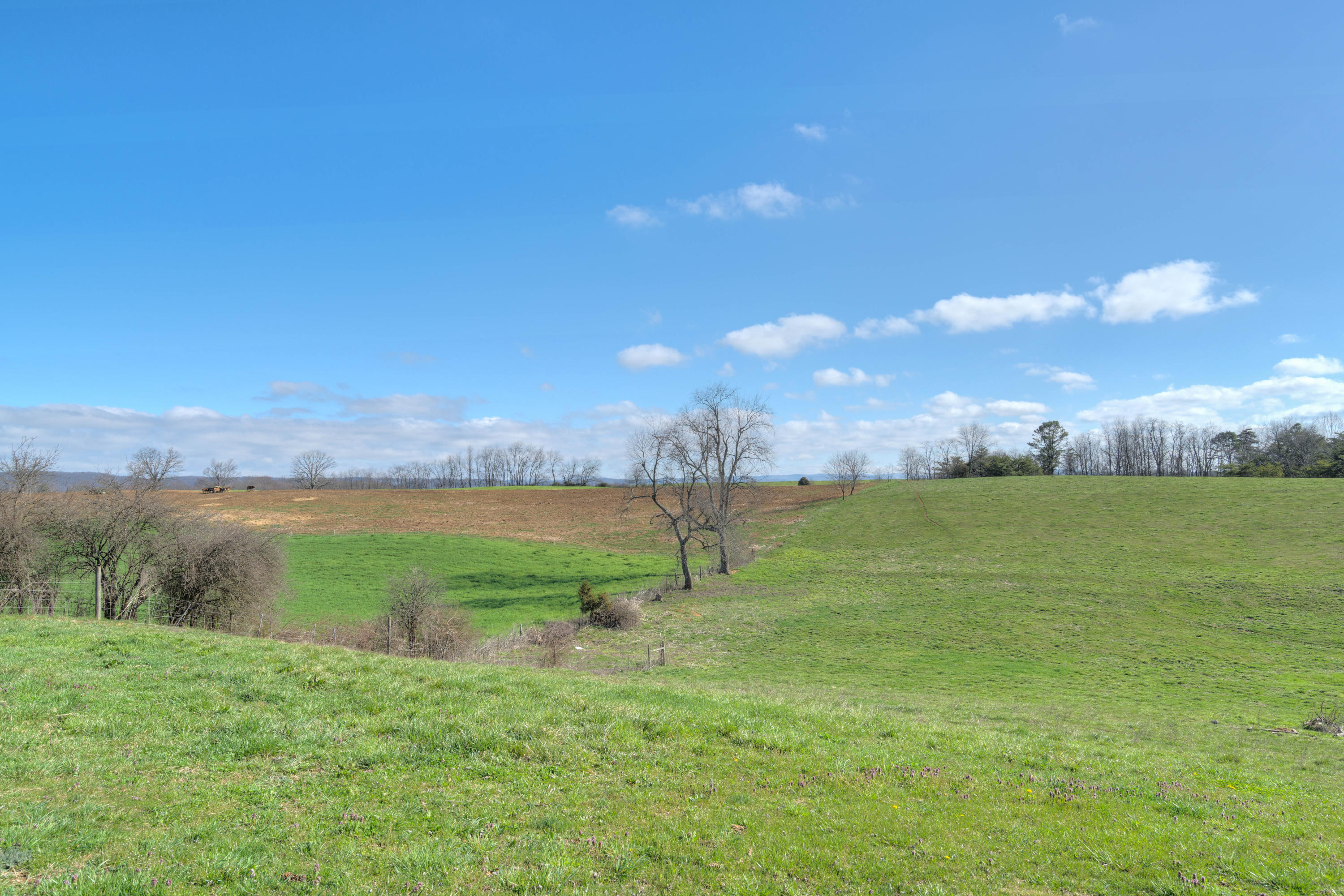 5188 Barsus Road Dublin, VA 24084 - Photo 29 of 31 5188_BarsusRd_HiRes-29
