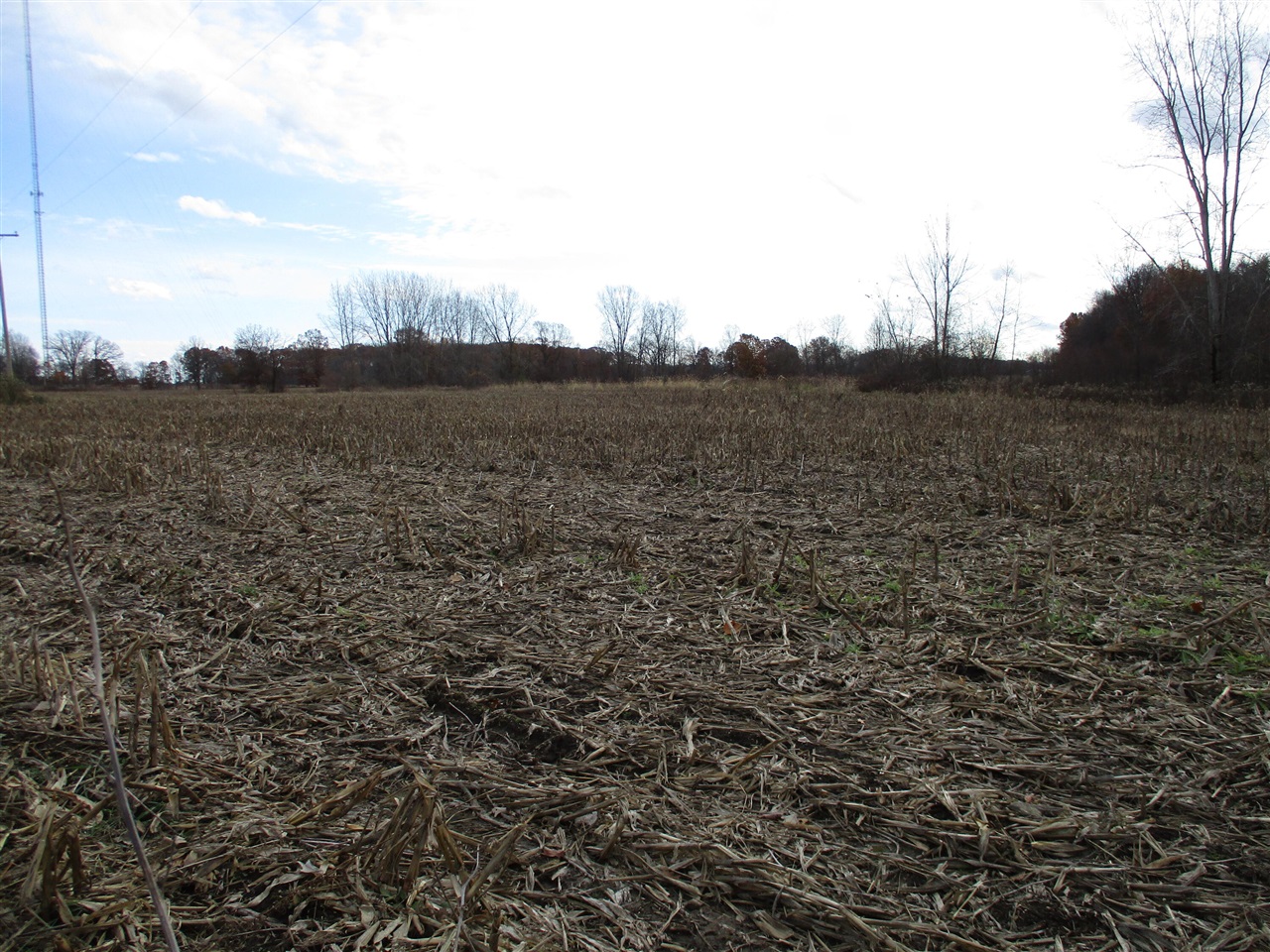 0 Baseline Road Onondaga, MI 49264 - Photo 10 of 16